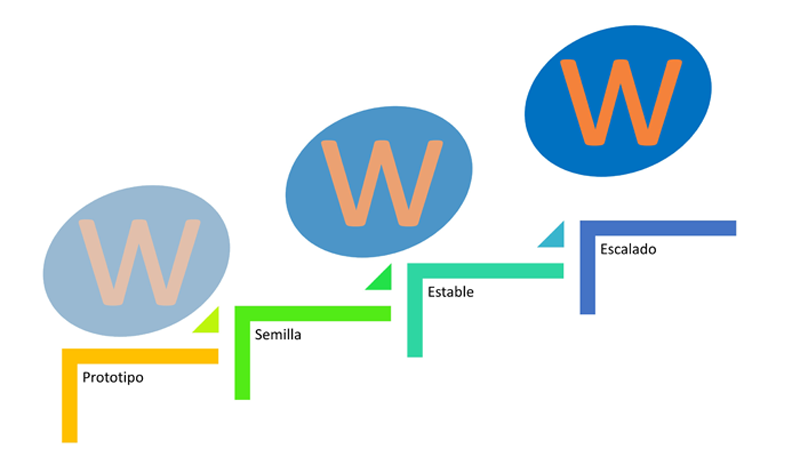 Pasos para escalar un negocio en línea basado en WordPress rapi.Website